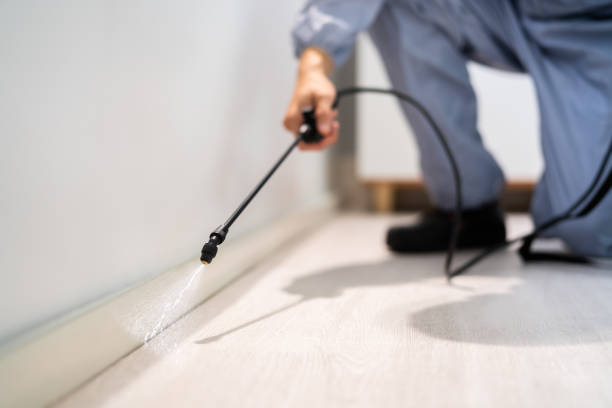 Professional exterminator conducting IPM assessment in East Williston